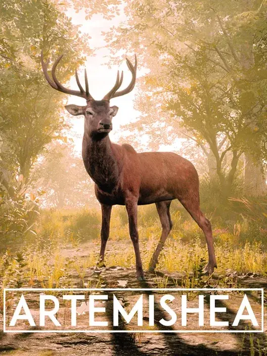 Copertina di Artemishea
