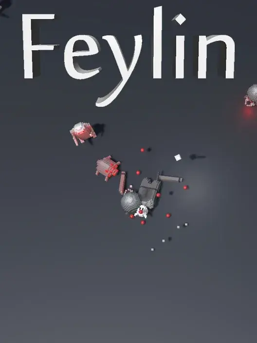Copertina di Feylin