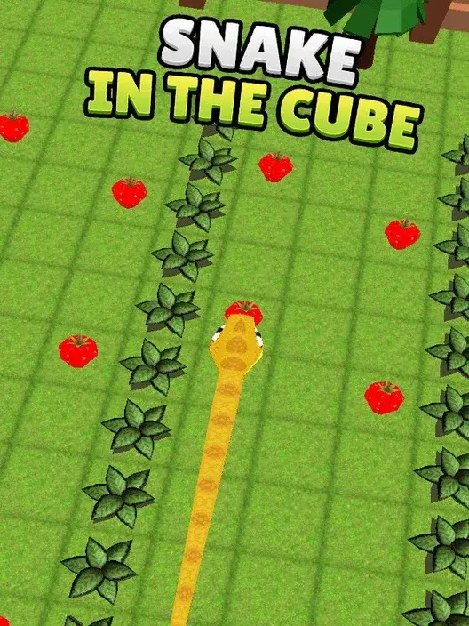 Copertina di Snake in the Cube