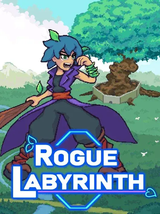 Copertina di Rogue Labyrinth