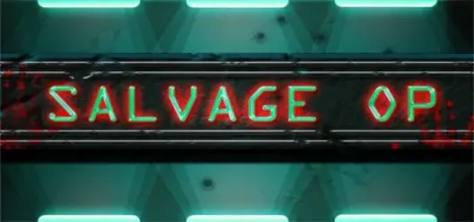 Copertina di Salvage Op