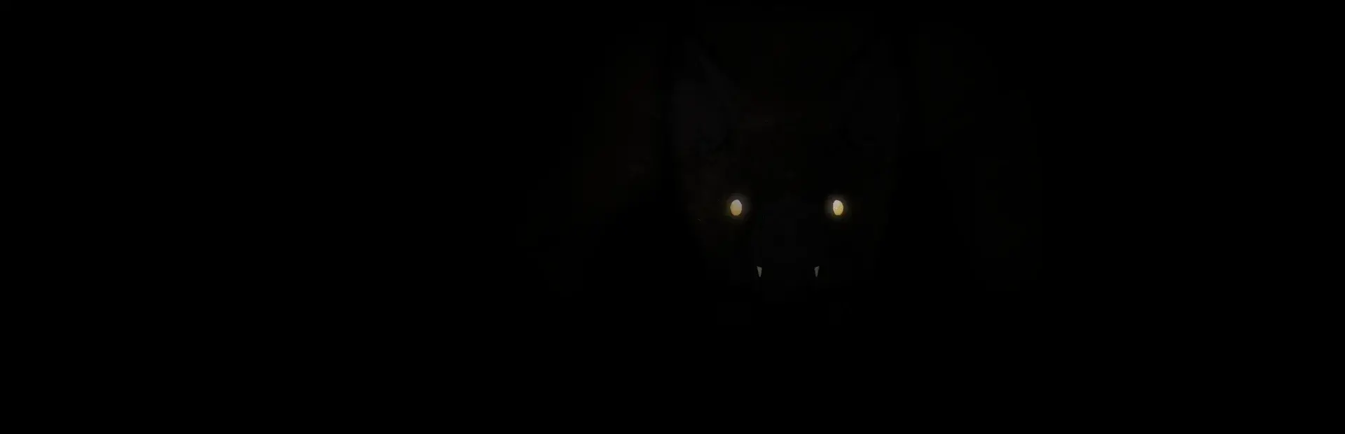 The Hunted